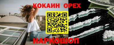 МДПВ Кингисепп