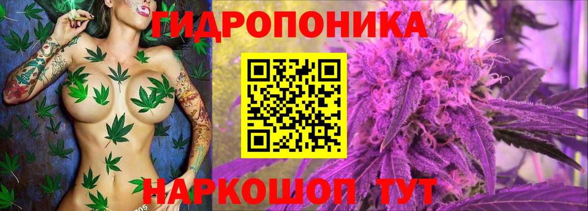 Шишки марихуана Ganja Лесной