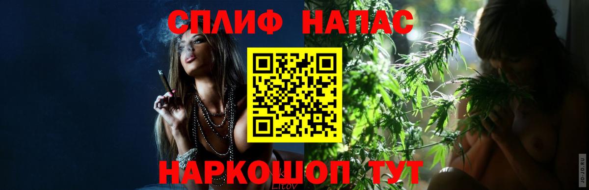 Марихуана сатива  Канабис гибрид  Лесной  Конопля VHQ  Вход с VPN 